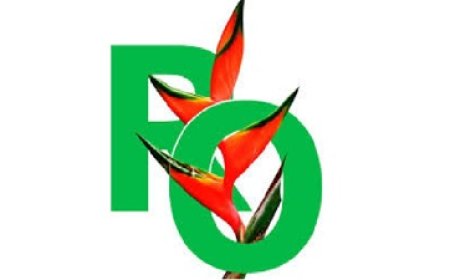 Aanbestedingscommissie geïnstalleerd bij RO