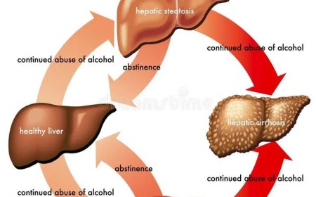 Ons lichaam werkt als één team: waarom een gezondelever belangrijk is