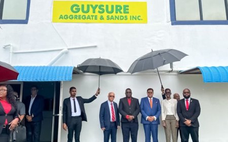 Raadsvoorstel GuySure rammelt: onderzoek wijst op onregelmatigheden