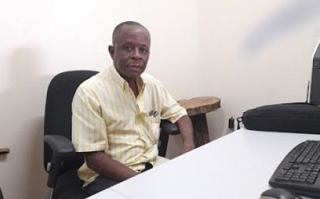 Chikungunya-virus was mogelijk nooit uit Suriname