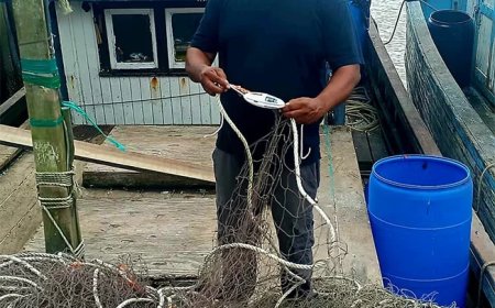 Vissers  zetten in op bescherming zeeleven en behoud exportmarkten