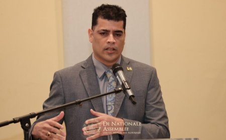 Adhin pleit voor zorgvuldige modernisering rechterlijke macht