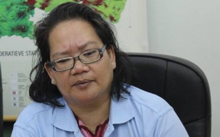 Nog geen verdachte gevallen van chikungunya in het binnenland