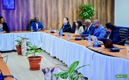 IDB overlegt met actoren over toekomst Surinaamse energiesector