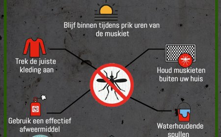 Volksgezondheid bevestigt chikungunya-uitbraak in Suriname