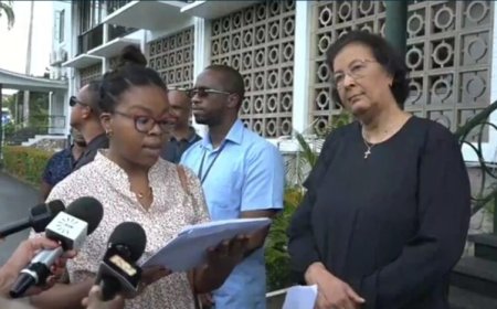 Stakende leerkrachten overhandigen petitie aan president