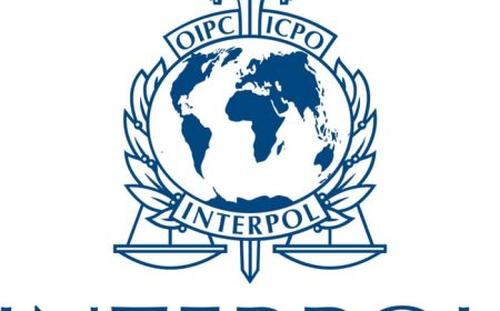 Interpol: 200 arrestaties in Suriname en buurlanden bij illegale goudwinning