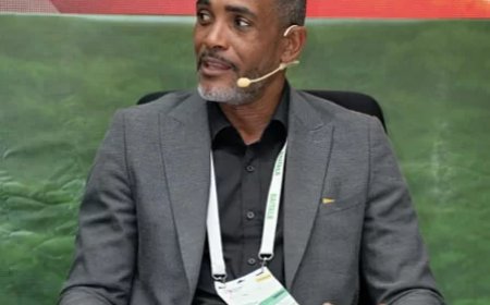 Olmberg: local content-beleid blijft steken in intenties