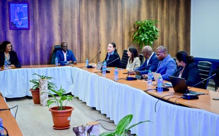 IDB overlegt met energieactoren over toekomstvisie energiesector