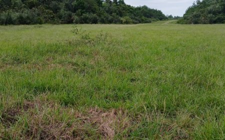 Vliegvelden in het binnenland al maanden niet onderhouden door brandstoftekort