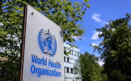 VS verbreekt banden met WHO, zorgen over griepepidemieën