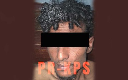 Diefstalverdachte in verzekering gesteld