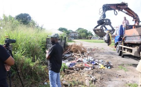 Grootschalige ophaalactie grofvuil gestart in strijd tegen chikungunya