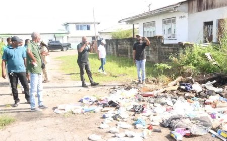 OGA start grofvuilophaal om chikungunya tegen te gaan