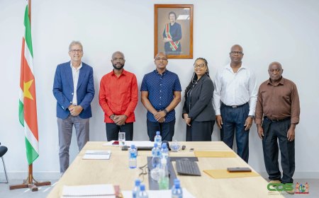 RvC BGVS krijgt opdracht medicijnbeschikbaarheid te herstellen