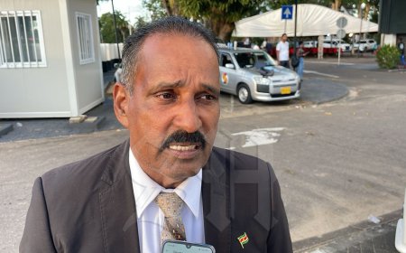 Jogi: hervorming rechtssysteem mag niet worden doorgedrukt met parlementaire meerderheid