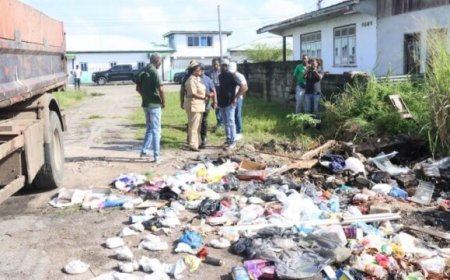Ophaalactie grofvuil van start om chikungunya terug te dringen