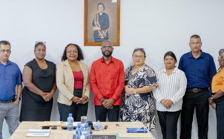 Nieuw bestuur moet Regionale Gezondheidsdienst uit het slop trekken