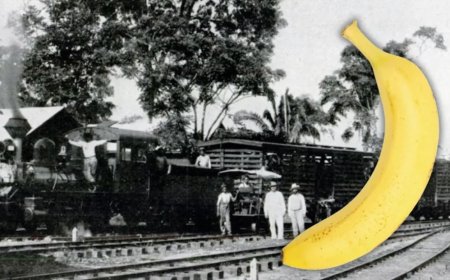 WIST U DAT: Honduras de eerste bananenrepubliek was?