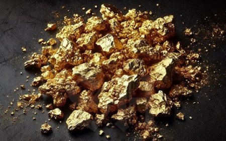 Suriname en buurlanden werken gezamenlijk tegen illegale goudwinning