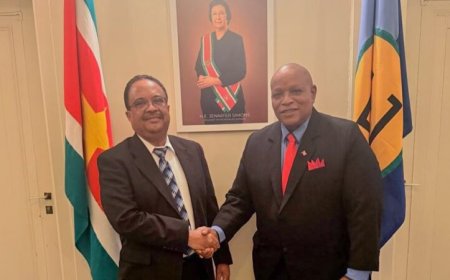 Vp Rusland brengt kennismakingsbezoek aan ambassadeur Panka