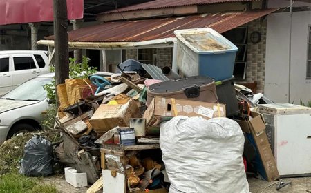 Groot aanbod grofvuil bij gerichte ophaalactie tegen chikungunya