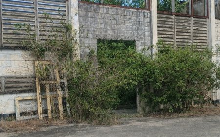 Vervallen gymzaal op Havo 1-terrein krijgt nieuwe bestemming