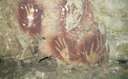 Opmerkelijk – Zo’n 68.000 jaar oude rotstekening in Indonesië is oudst bekende ter wereld