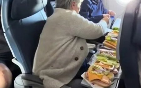 Moeder opent geïmproviseerde deli in vliegtuig tot verbazing van passagiers