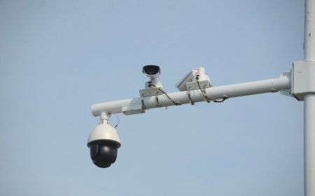 e-Government slaat alarm na gecoördineerde vernielingen aan Safe City-netwerk