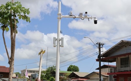 e-Government slaat alarm na gecoördineerde vernielingen Safe City-netwerk