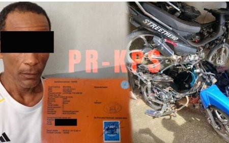 Bromfietsdief opgepakt in Geyersvlijt