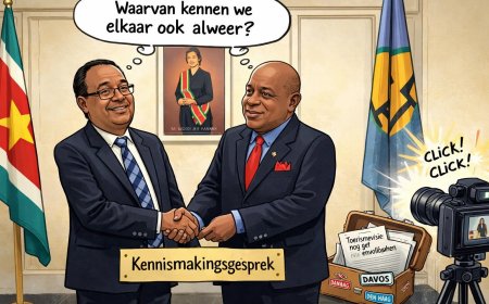 VP op wereldtoneel zonder script: Davos als decor, Den Haag als fotomoment