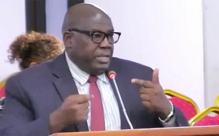 DNA over luchtverkeer: geen garanties, grote zorgen over veiligheid en imago