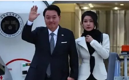 Vrouw afgezette Zuid-Koreaanse president krijgt 20 maanden cel