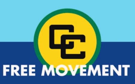 Vrij verkeer goed regelen