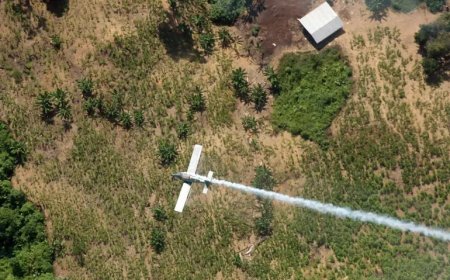 Vliegtuigongeluk in Colombia eist 15 levens, onder wie een politicus