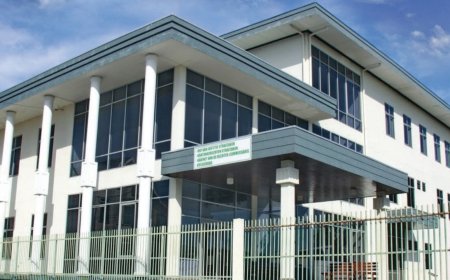 Staat Suriname wint hoger beroep tegen houtexporteurs