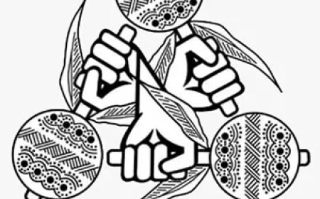 VIDS: erkenning in preambule Grondwet is slechts symbolisch en onvoldoende