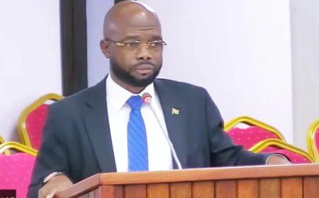 Chikungunya-uitbraak: 134 bevestigde besmettingen, één overlijden gemeld