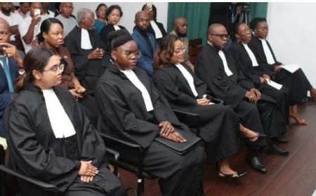 Zes advocaten beëdigd bij het Hof van Justitie