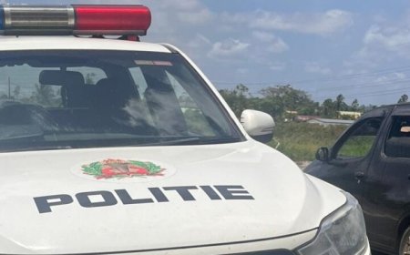 Ruzie ontaardt in brute mishandeling