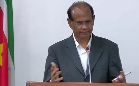 Parmessar bepleit Hoge Raad en College van PG’s