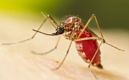 Alert blijven en beperken