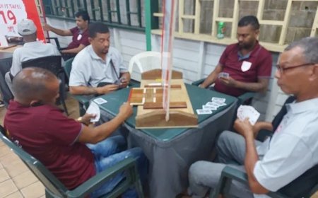 Kolibrie verslaat Palm Boys