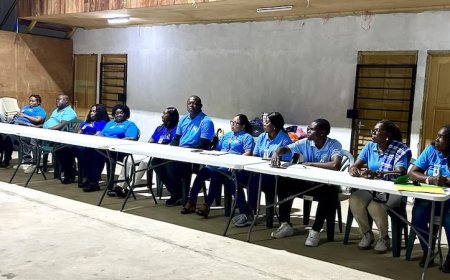 Eerste hoorzitting ressort Latour gehouden