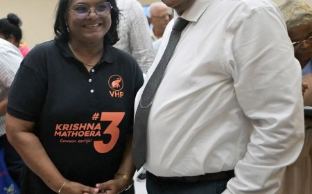 VHP en de ontkenning als bestuursstijl