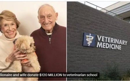 Miljardair schenkt 120 miljoen dollar aan diergeneeskundige faculteit na zorg voor hond