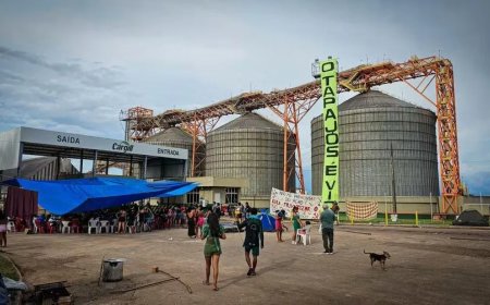 Inheemse demonstranten blokkeren Cargill-faciliteit in Brazilië vanwege decreet van president