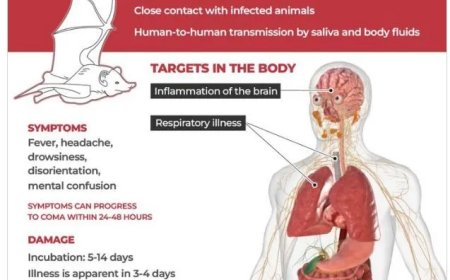 Waarom de Nipah-virus uitbraak in India wereldwijd onrust veroorzaakt